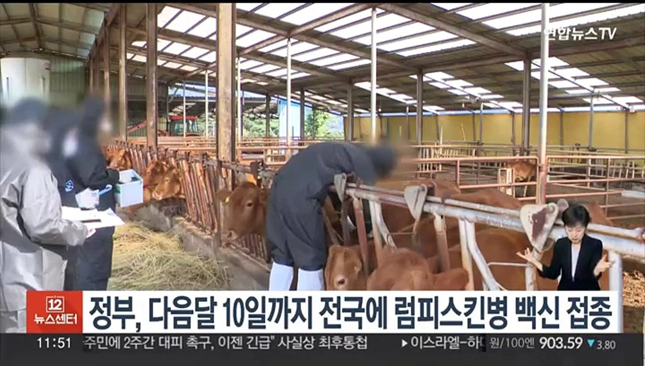 정부, 내달 10일까지 럼피스킨병 백신 전국 접종 완료