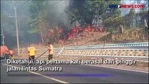 50 Hektare Hutan dan Lahan di Negeri Baru Ludes Terbakar