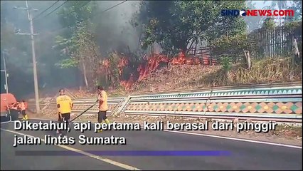 50 Hektare Hutan dan Lahan di Negeri Baru Ludes Terbakar