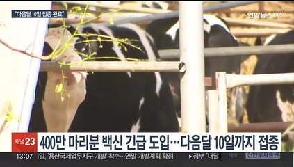 정부 "럼피스킨병 전국 백신접종 11월 10일까지 완료"