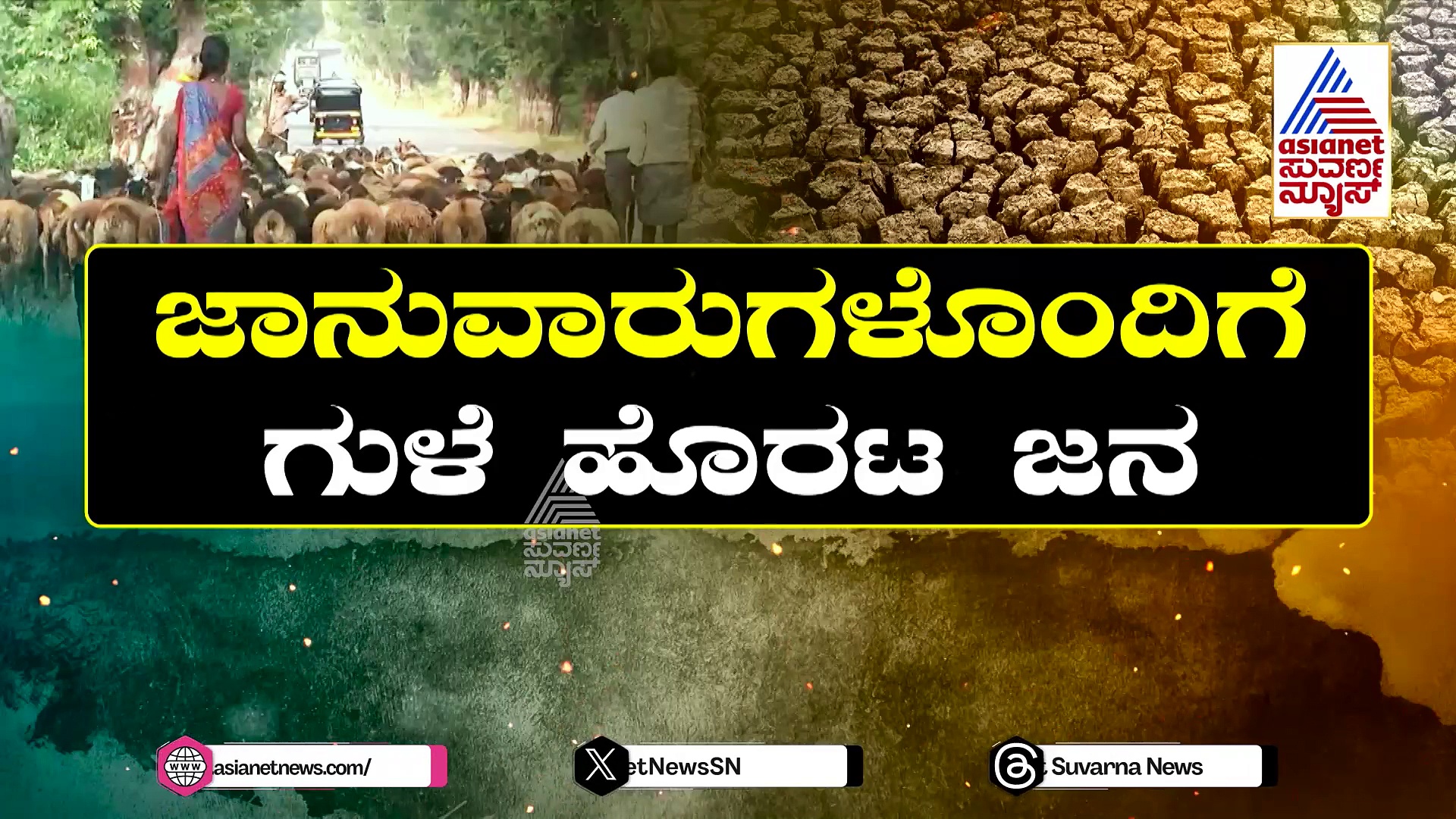 ಬರ ಘೋಷಣೆಯಾದ್ರೂ ಸಿಕ್ಕಿಲ್ಲ ಪರಿಹಾರ: ಜಾನುವಾರುಗಳೊಂದಿಗೆ ಗುಳೆ ಹೊರಟ ಜನ 