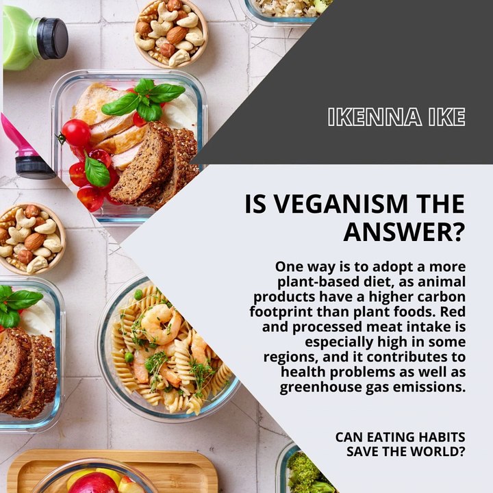 | IKENNA IKE | CAN EATING HABITS SAVE THE WORLD? YES! HERE’S HOW (PART 1) (@IKENNAIKE)
