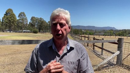 Discover the Latest Wine Trends with Expert Writer Rick Allen 🍷