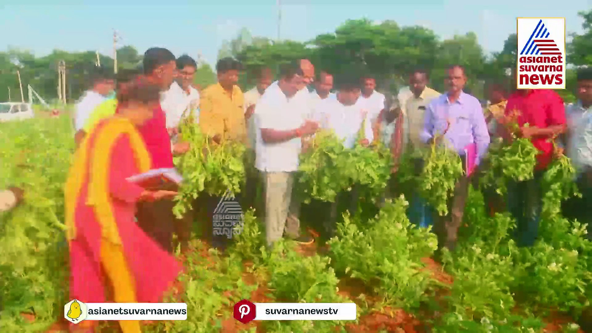 ಒಂದೆಡೆ ಬರ, ಮತ್ತೊಂದೆಡೆ ಲೋಡ್ ಶೆಡ್ಡಿಂಗ್: ಬೆಳೆದ ಆಲೂಗಡ್ಡೆ ಬೆಳೆಯಲ್ಲಿ ಫಸಲೇ ಮಾಯ..!