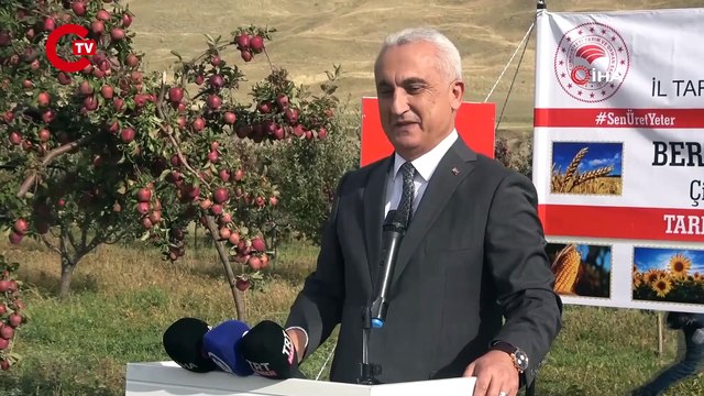 Muş Ovası’nda hasat başladı Aromasını gece ve gündüz arasındaki sıcaklık farkından alıyor...