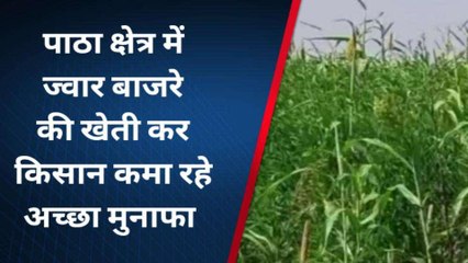 चित्रकूट: पाठा क्षेत्र में ज्वार बाजरे की खेती कर किसान कमा रहे अच्छा मुनाफा