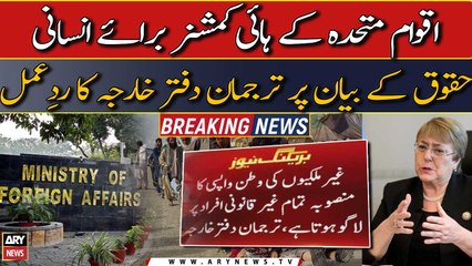 Foreign Office reacts over UN High Commissioner for Human Rights statement