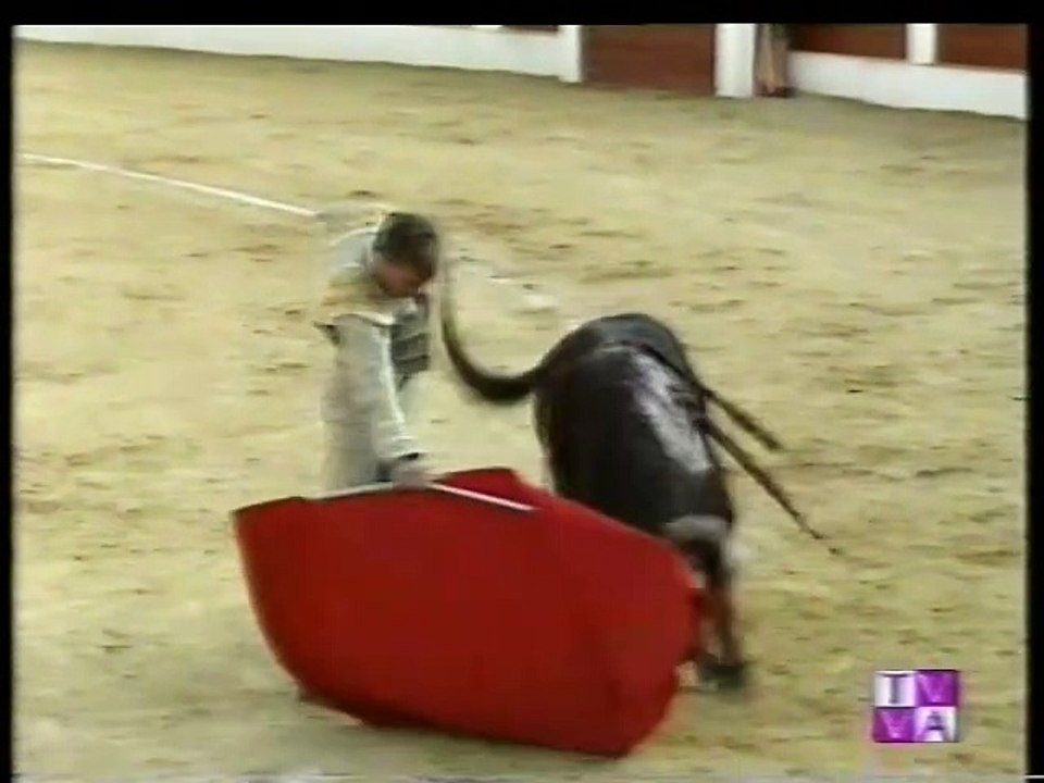 TARDE DE TOROS-JOSELITO-FINITO- MANOLO SANCHEZ  16 AGOSTO 1996 ISCAR-