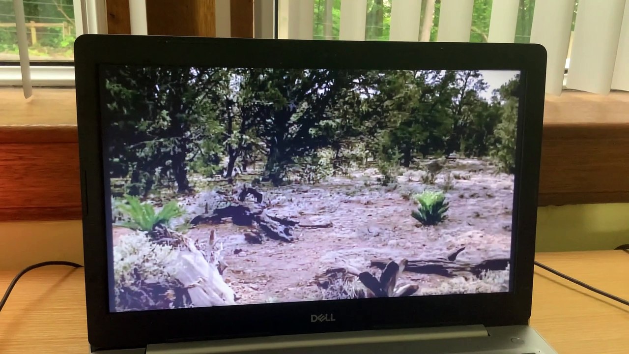 BBC Walking With Dinosaurs 2001 Allosaurus Loose It French