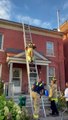 Cat Jumps Out of Firefighter's Arms While Being Rescued