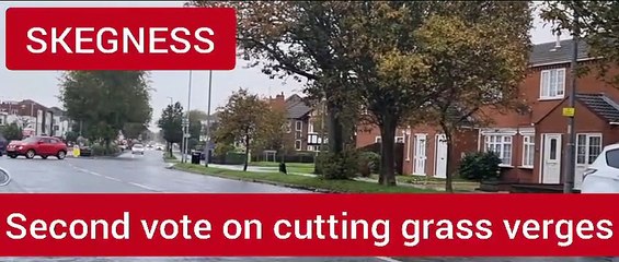 Call for second vote on grass cutting in Skegness
