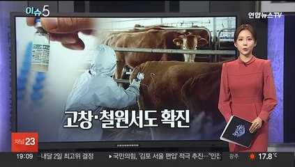 [이슈5] 럼피스킨병 백신 접종법은…정확히 주사해야 항체형성 外