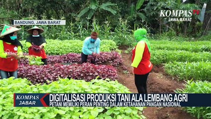 Download Video: Produk Petani Lembang Agri, Tembus Pasar Luar Negeri