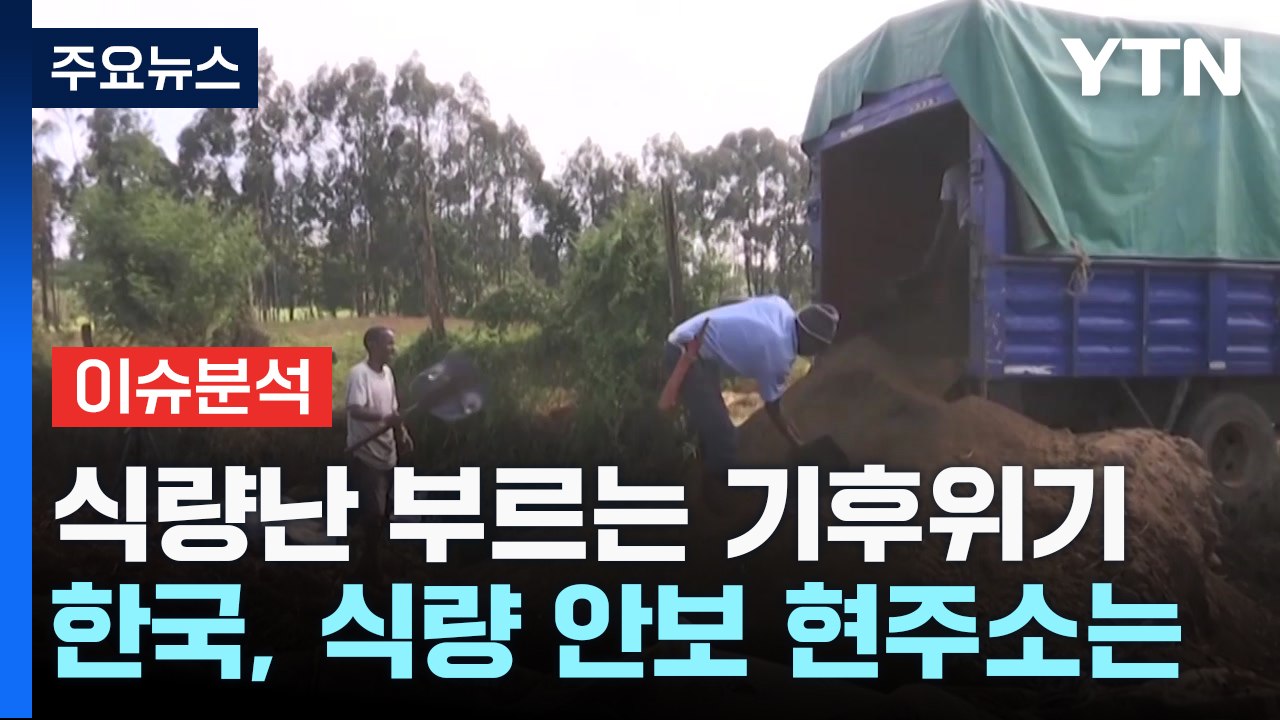 [뉴스라운지] 세계는 미래 '식량' 전쟁 중...한국 식량 안보 현주소는? / YTN