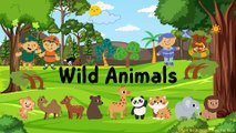 Wild animal vocabulary for kids | Wildlife Vocabulary Learning