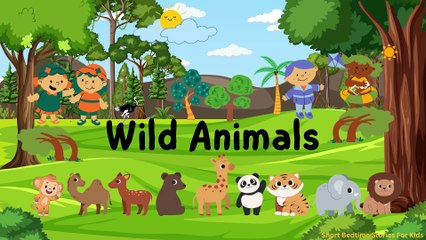 Wild animal vocabulary for kids | Wildlife Vocabulary Learning