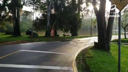 Ponte do Parque Tingui coberta por água após chuva intensa