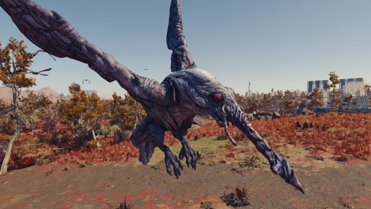 In Starfield solltet ihr euch nicht mit den Wildtieren auf Rutherford 3 anlegen