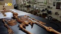 Vampire Burials Discovered and Disturbed in Poland Dig