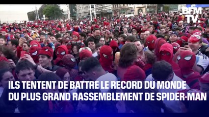 Ils tentent de battre le record du monde du plus grand rassemblement de Spider-Man