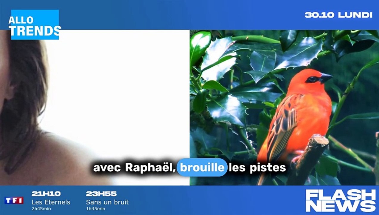 Laura Smet : Un jeu de cache-cache avec sa grossesse ?