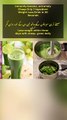 Immunity booster, extremely Cheap Only 1 Ingredient Weight Loss Drink In 30 Seconds Recipe & Tips By