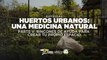 Huertos urbanos: Una medicina natural | Parte V: Rincones de ayuda para crear tu propio espacio