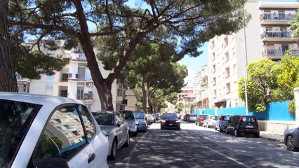 Check up finito sui pini della Circonvallazione. Saranno 11 quelli da abbattere