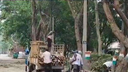 కృష్ణా జిల్లా: సుందరీకరణ పేరుతో కలెక్టరేట్ లో చేస్తున్న పని ఏంటో చూడండి...!