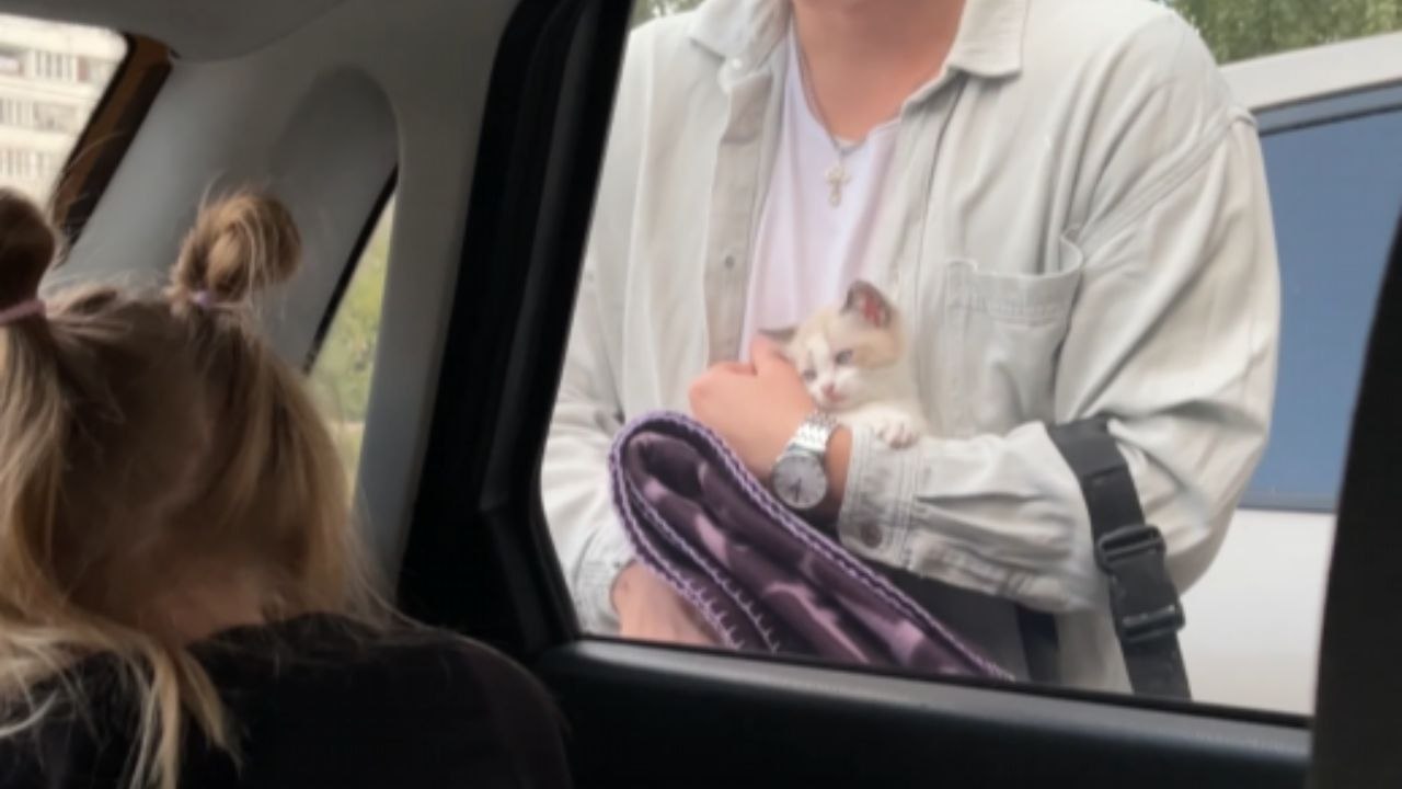 Parents surprise their cute daughter with a kit...