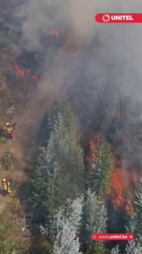 El Gobierno boliviano informó este domingo 29 de octubre que se quemaron más de 2,6 millones de hectáreas en 2023 y que en la actualidad solo quedan tres incendios activos de los 21 registrados en las anteriores semanas