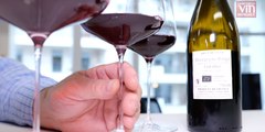 Bourgogne : Coup de cœur pour un vin rouge de l'Yonne aux tanins soyeux