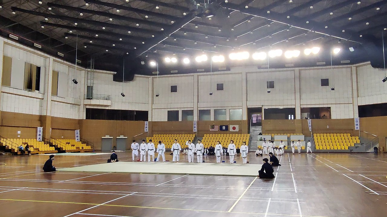 Karatedo