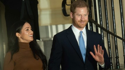 Prince Harry Lands Dream Role as Board Member at African Parks