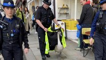 Bath police channel Hot Fuzz as officers escort baby swan from city centre