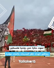 نموت حنايا (نحن) وتحيا فلسطين.. جماهير الوداد تهز المدرجات بكلمات مؤثرة