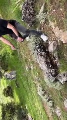 Great Yreasure Hunt❗️❗️❗️