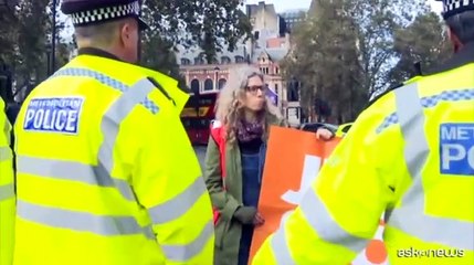 Protesta di Just Stop Oil, 65 arresti a Londra