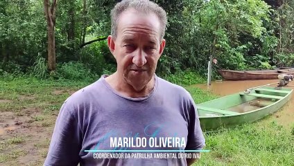 Rio Ivaí sobe mais de seis metros e gera alerta; veja vídeo