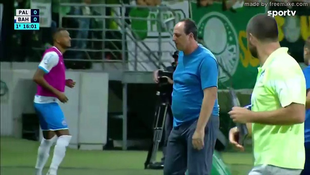 Palmeiras x Bahia (Campeonato Brasileiro 2023 30ª rodada) 1° tempo