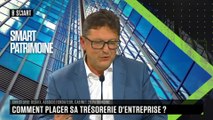 SMART PATRIMOINE - Comment placer sa trésorerie d’entreprise ?