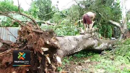 tn7-vecinos-de-santa-cruz-habian-solicitado-cortar-arbol-que-cayo-sobre-vivienda-301023