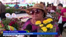 Flores de Holambra: festival de plantas e flores no pátio do Carmo