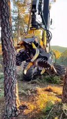 This Machine Is A Beast #satisfying #woodworking #shorts