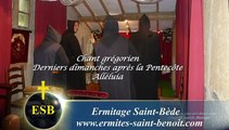 Alléluia De profundis du 23e dimanche après la Pentecôte - Ermitage Saint-Bède - Ciné Art Loisir  JC G