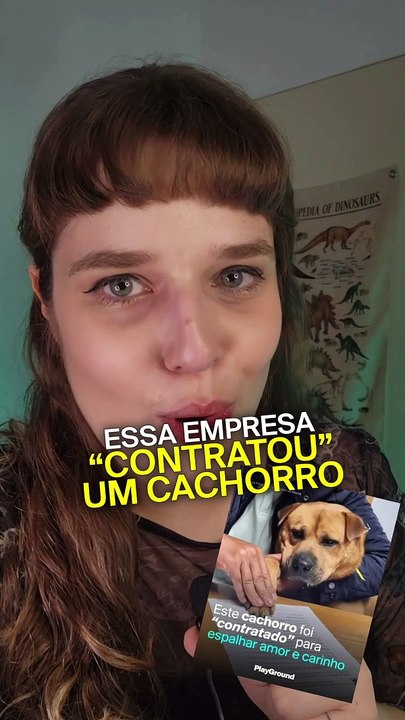Este cachorro foi “contratado” para dar amor