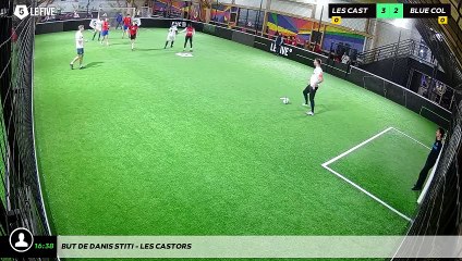But de Danis STITI - LES CASTORS