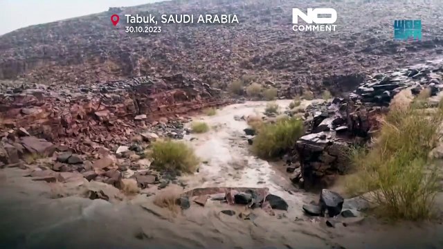 Unwetter, Überschwemmungen und Wüstenstaub in Saudi-Arabien