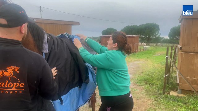 Taramak est arrivé aux Chevaux d'Eden à Marguerittes (Gard).