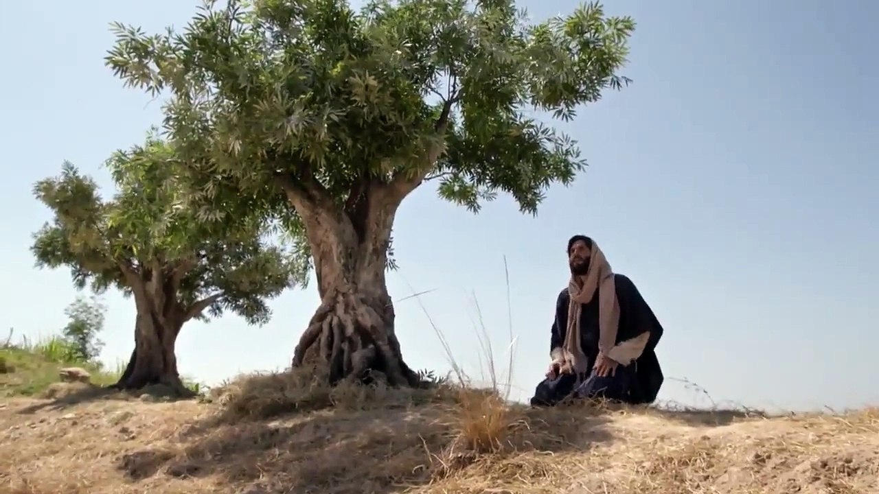 JESUS Capitulo 118